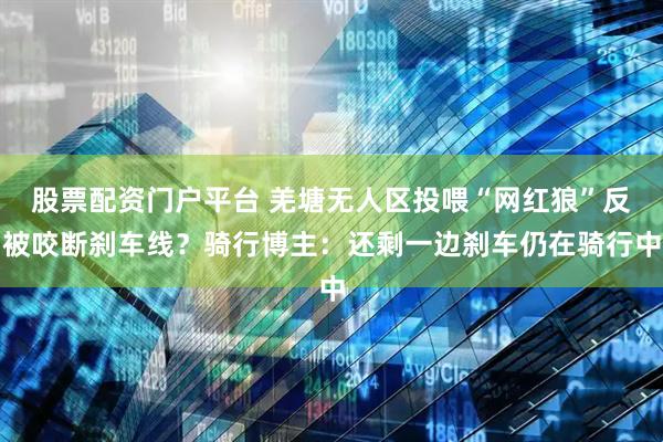 股票配资门户平台 羌塘无人区投喂“网红狼”反被咬断刹车线？骑行博主：还剩一边刹车仍在骑行中